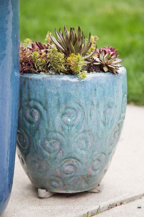 Use pot feet under your outdoor succulent containers to prevent rot Gemüseanbau In Kübeln, Succulent Containers, Planters Diy, How To Water Succulents, Container Garden Design, Succulent Gardens, Propagating Succulents, Growing Succulents, Succulent Gardening