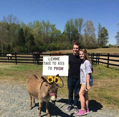 Promposals! Donkey! Creative Prom Proposal Ideas, Cute Promposals, Country Prom, Cute Homecoming Proposals, Prom Proposals, Cute Prom Proposals, Asking To Prom, Dance Proposal, Prom Picture Poses