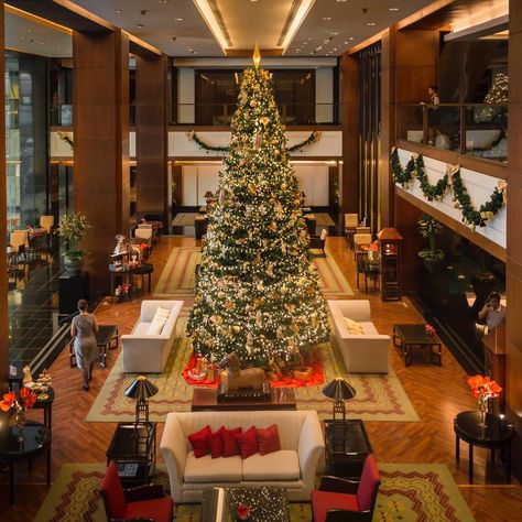 JW Marriott Hotel Bangkok on Instagram: “Merry Christmas🎄❄️☃️🎅🎁 #jwmarriottbkk #jwmarriott #marriott #christmas #ChristmasPosts #christmastree #ChristmasSpirit #ChristmasFun…” Christmas Hotel Lobby, Christmas Hotel, Hotel Christmas, Marriott Hotel, Jw Marriott, December 24th, Marriott Hotels, Hotel Lobby, Luxury Travel