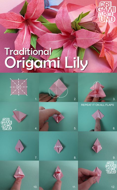 How to fold a traditional origami lily | Origamiaround on Patreon How To Fold A Flower Out Of Paper, Origami Flowers Lily, Orgamini Flowers Step By Step, Lily Origami Flower Tutorial, Origami Lily Tutorial, Cute Origami Flower, How To Fold Paper Flowers, Oragami Ideas Step By Step Flower, Lilies Origami