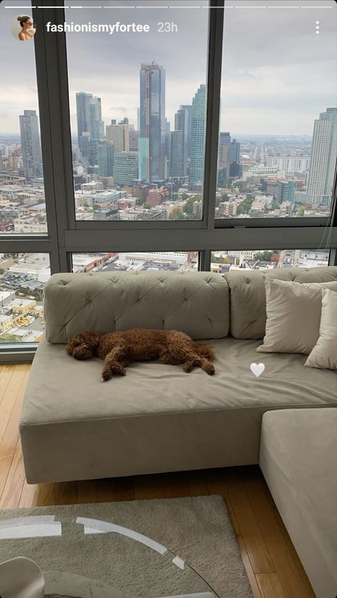 Dog In Apartment, Dogs In Apartments, Dog Apartment Living, Glass Apartment, City View Apartment, Nyc Apt, Apartment Dogs, Paris Home, New York Homes