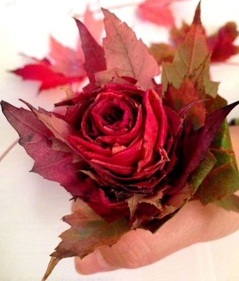 Watch Sisters Know Best's video to make your own bouquet of roses. Easy and fast project that gives fantastic results! We share how to preserve your roses as well. Make a memory of your special fall place! #SistersKnowBest #LeafRose #FallLeafRose Bouquet Tips, Leaf Roses, Make Your Own Bouquet, Leaf Projects, Fall Decor Diy Crafts, How To Make Rose, Autumn Rose, Easy Fall Crafts, Rose Video