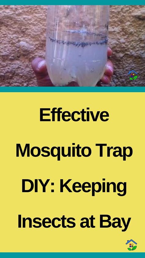 Keep mosquitoes at bay with simple and effective DIY traps. No harmful chemicals are needed. Mosquitoes can be a real nuisance sometimes, disrupting activities and even affecting sleep. To effectively deal with these irritating insects, we recommend the simplest trap of all that will help you get rid of them and enjoy your time without […] Homemade Mosquito Trap, How To Get Rid Of Misquotes, Home Made Mosquito Repellent, Indoor Mosquito Repellent, Flies Trap Diy, Mosquito Trap Diy, Mosquito Catcher, Diy Fly Trap, Mosquito Repellent Homemade