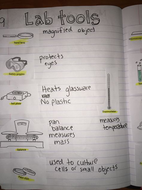 Lab tools Pan Balance, Laboratory Apparatus, Lab Science, Hand Lens, Science Laboratory, Eye Safety, 5th Grade Science, Science Journal, Petri Dish