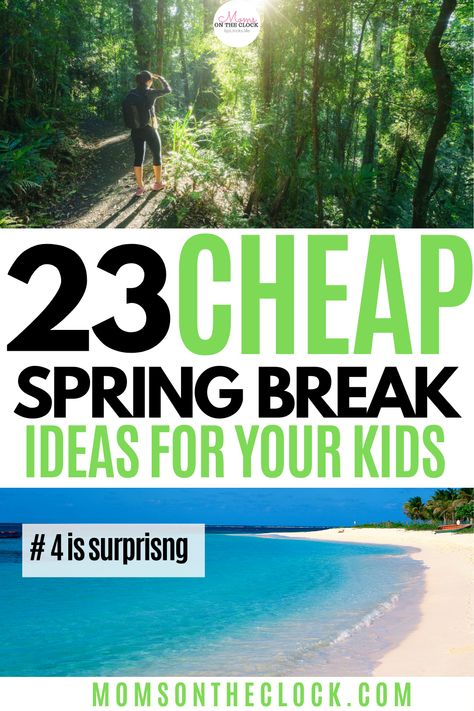 Spring Break For Kids, Spring Break Quotes, Days Until Spring, Spring Break Ideas, Spring Break Cruise, Spring Break Pictures, Spring Break Kids, Spring Break Party, Spring Break College