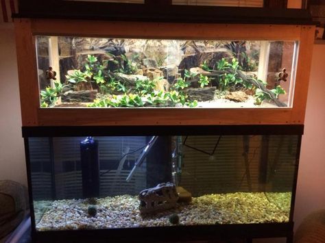 above tank basking area for turtles Diy Reptile Enclosure Furniture, Diy Reptile Enclosure, Turtles Pet, Snake Cages, Turtle Dock, Diy Reptile, Turtle Terrarium, Terrariums Diy, Snake Terrarium