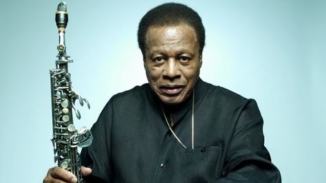 One of my deities, and my favorite jazz composer since I was 16, is performing live at 8 PM! Bless you Livestream!  Set at 8PM EST, May 14, 2015 Miles Davis Quintet, Maynard Ferguson, Freddie Hubbard, Esperanza Spalding, Arte Jazz, Newport Jazz Festival, Jazz Saxophonist, Jazz Saxophone, Wayne Shorter