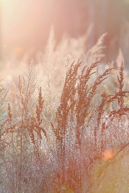 Comment créer une atmosphère Bohème ?#bohemianwedding #bohemian #colorful #eventsbymikysah #weddingblog Shades Of Peach, Crop Circles, Soft Autumn, 수채화 그림, Pink Aesthetic, Belle Photo, Color Inspiration, Beautiful Nature, Fall Colors