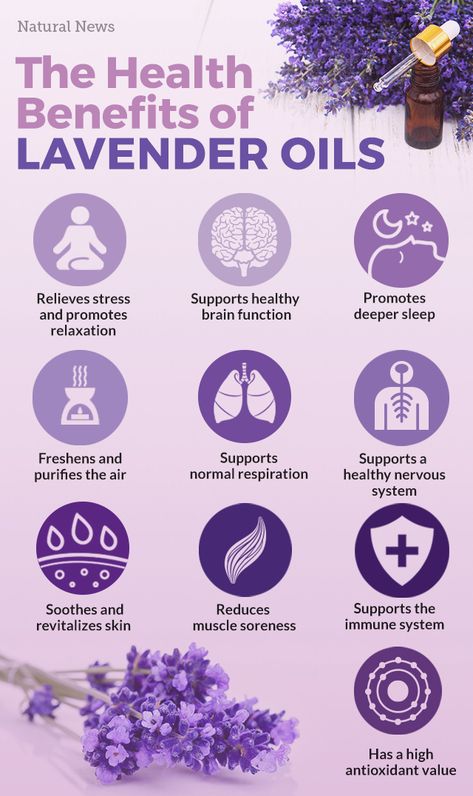 Why lavender is the most important essential oil to use right now Lavender Oil Witchcraft, Benefits Of Lavender Plants, Essential Oils And Benefits, Lavender Healing Properties, How To Use Lavender Essential Oil, How To Make Lavender Oil, Lavender Properties, Lavender Doterra, Lavender Plant Uses