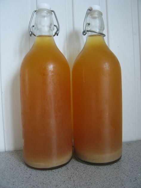 Homemade Ginger Beer, Ginger Beer Recipe, Ginger Bug, Beer Recipe, Lidia Bastianich, Health Benefits Of Ginger, Fermentation Recipes, Ginger Benefits, Homemade Wine