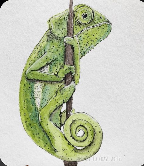 Cameleon Art, Learn Watercolor Painting, Watercolor Mixing, Learn Watercolor, Watercolor Tips, Watercolor Paintings For Beginners, Watercolor Lessons, Diy Watercolor Painting, Frog Art