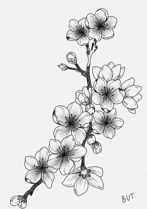 Cherry Blossom Drawing, Blossom Tree Tattoo, Sakura Tattoo, Japanese Flower Tattoo, Blossom Tattoo, Cherry Blossom Tattoo, Tattoo Design Book, Sakura Flower, Flower Sketches