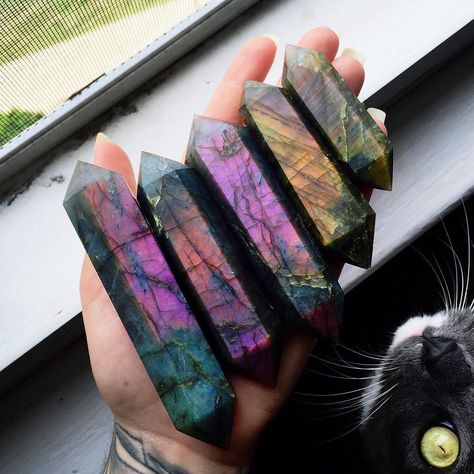 I spy with my little eye a nosey Kitty photographing these gorgeous purple labradorite points when I snapped this pic of grey Lee Ann keeping me company. Isn't she adorable !!! Can't wait to make these beauties into some lovely necklaces by sacraluna Labradorite Aesthetic, Crystal Vibes, Crystal Aesthetic, Pretty Rocks, Cool Rocks, Crystal Magic, Labradorite Crystal, Rock Collection, Purple Labradorite