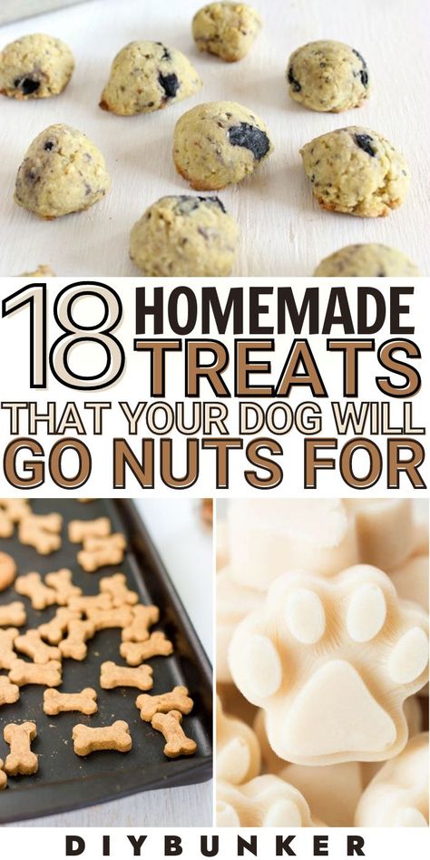 LOVE these healthy homemade dog treat recipes! #dog #dogs #pets #dogtreats Dog Treats Homemade Mold, Dog Treats Homemade Easy Without Peanut Butter, Dog Treats Homemade No Egg, Teething Puppy Treats, Dog Treat Mold Recipe, Homemade Dog Treats Using Silicone Mold, Vegan Dog Treats Recipe, Silicone Mold Dog Treat Recipes, Organic Dog Treat Recipes