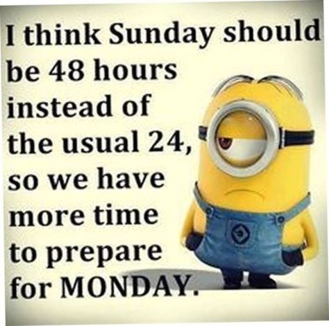 Sunday Humor, Sunday Quotes Funny, Funny Minion Pictures, Funny Minion Memes, Minion Jokes, Minions Love, A Minion, Sunday Quotes, Minion Quotes