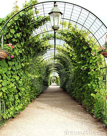 Arbor Tunnel, Plants Ideas, Pergola Garden, Pergola Design, Garden Vines, Garden Arbor, Garden Arches, Backyard Pergola, Have Inspiration