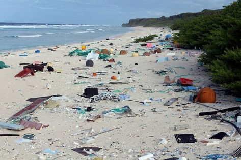 henderson-island-1 Marine Debris, Marine Pollution, Uninhabited Island, Remote Island, Galapagos Islands, Desert Island, Nature Conservation, North Beach, Sea Birds