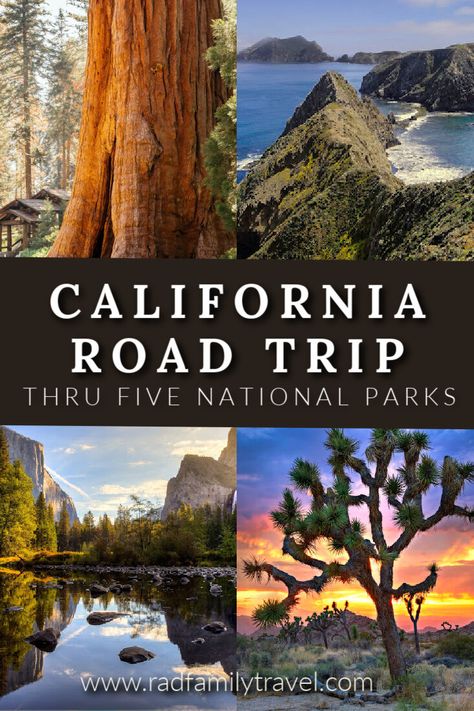 National Parks Road Trip Itinerary, Sequoia National Park Road Trip, California Trip Itinerary, Yosemite And Sequoia Itinerary, California National Park Road Trip Map, California National Park Road Trip, Blue Tacoma, California Road Trip Itinerary, National Parks Road Trip