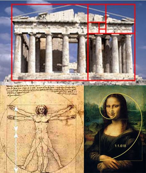 examples of the golden rectangle Golden Ratio In Nature, Fibonacci Golden Ratio, Golden Section, Golden Rectangle, Scale And Proportion, Divine Proportion, Geometry In Nature, Vitruvian Man, The Golden Ratio