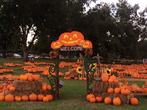 Pumpkin Patch Entrance School Pumpkin Patch, Pumpkin Patch Display Ideas, Pumpkin Patch Entrance, Pumpkin Displays Outside, Pumpkin Patch Decorating Ideas, Pumpkin Patch Ideas, Pumpkin Patch Business, Diy Pumpkin Patch, Pumpkin Patch Diy