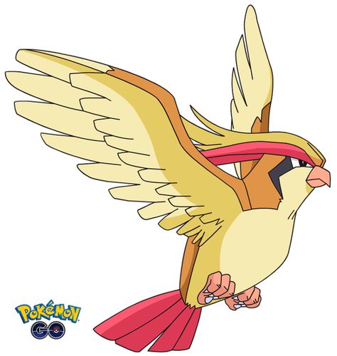 Pokemon Pidgeot, Pokemon Fantasma, Pikachu Party, Pokemon Kanto, Original 151 Pokemon, Flying Type Pokemon, Pokemon Original, Bird Pokemon, 150 Pokemon