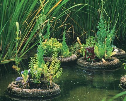 Pond Rafts with mini-gardens on board. Made of bound reeds, these little floating hydroponic islands could be a good way to add an edible/beautiful dimension to a pond or lake. Just might need a canoe, a long stick, or an afternoon swim to harvest anything. This could be a neat way to add flowers (tall ones could act as a sail (?) to a pond. EEEEEE!!! Love it. Aquaponics Kit, Hydroponic Farming, Hydroponics Diy, Floating Garden, Hydroponic Growing, Home Grown Vegetables, Floating Plants, Gardening Techniques, Pond Plants