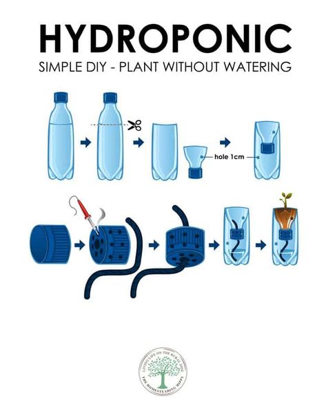 hydroponic plan