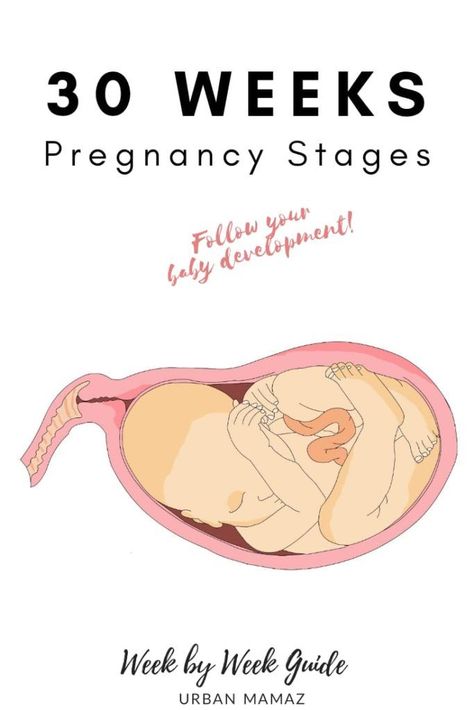 Pregnancy guide - 30 weeks. Are you pregnant? Wondering how is your baby developing? Discover your baby and pregnancy development - Week by week pregnancy guide- pregnancy trimesters, all the pregnancy stages- click here to read about 30 weeks pregnancy》 Pregnancy Trimesters, Pregnancy Development, Body Changes During Pregnancy, Week By Week Pregnancy, Diet While Pregnant, 30 Weeks Pregnant, Pregnancy Guide, 30 Weeks, Mommy Tips