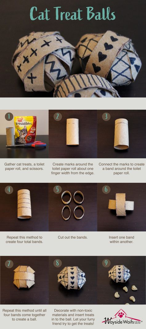 Diy Cat Bathroom, Paper Towel Roll Cat Toy, Diy Cat Treats Easy, Diy Cat Stimulation, Diy Animal Enrichment, Games For Cats Diy, Easy Cat Enrichment, Cat Toy Ideas Diy, Diy Cat Toy Toilet Paper Roll