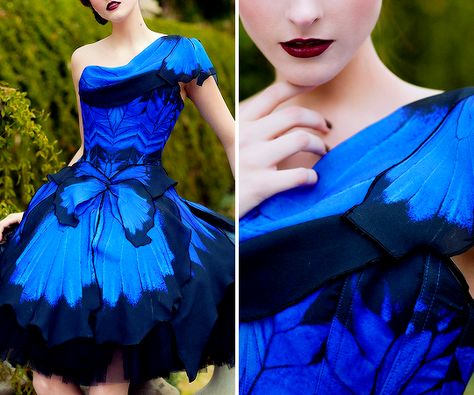 fashion-runways: BIBIAN BLUE Butterflies... | Diane Duane Bibian Blue, Fnaf Costume, Clothing Themes, Blue Butterflies, Jungle Party, Blue Wedding Dresses, Butterfly Dress, Fairy Dress, Character Outfits