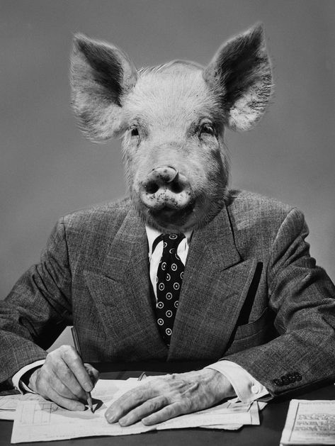 Connotation refers to the emotional implications and associations that a word may carry. Learn about its usage, definition, and examples. Men Are Pigs, Animal Farm George Orwell, Pig Mask, Pig Head, Pig Face, Looney Tunes Cartoons, Pig Art, Luffy Gear 5, Three Little Pigs