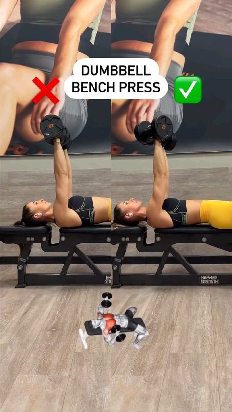 The most common mistake when doing a dumbbell bench press is letting your elbows move out to the sides! This puts more stress and strain on the front shoulder. The pectoral muscle is not activated properly. ✅ the dumbbells are slightly rotated ✅ Keep your elbows at about 45-60 degrees ✅ the dumbbells move up and down in an arc ab ✅ Press your shoulders and...#DecorInspiration #HomeStyle #InteriorDesign #HomeIdeas #HouseGoals #InteriorInspo #HomeDecor #HomeInspiration #DecorTips #HomeDecorating Bench Press Workout, Workout Space, Best Cardio Workout, Gym Routine, Chest Workout, Gym Workout Videos, Dumbbell Workout, Fat Burning Workout, Shoulder Workout