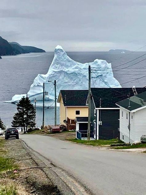 Newfoundland, Canada Norway Winter, Newfoundland Canada, Adventure Aesthetic, I Want To Travel, Beautiful Places In The World, Beautiful Places To Visit, Pretty Places, Travel Inspo, Oh The Places Youll Go