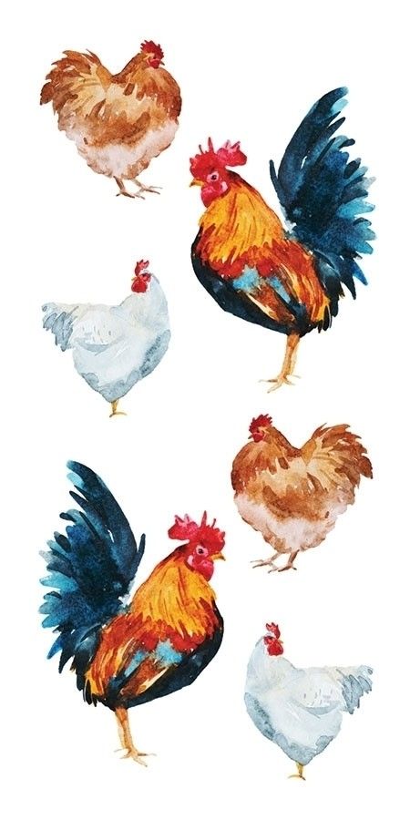 Watercolor Art Chicken, Watercolor Chickens And Roosters, Watercolor Chicken Paintings, Simple Chicken Painting, Watercolor Chickens Easy, Chickens Drawings, Cute Chicken Art, Chicken Doodle Drawing, Simple Chicken Drawing