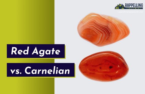 Red Agate vs. Carnelian: What Are the Differences? Red Agate Crystal Meaning, Sardonyx Stone, Crystal Identification, Red Meaning, Carnelian Agate, Fire Agate, Crystal Meanings, Red Agate, Agate Crystal