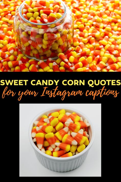 Candy Corn Quotes Funny, Cute Candy Corn Sayings, Halloween Candy Quotes, Candy Corn Sayings, Candy Corn Quotes, Corn Quotes, Instagram Captions 2023, Captions 2023, Corn Puns