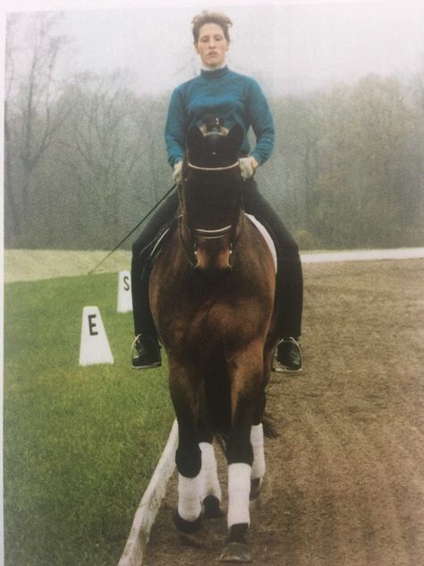 Correcting Rider Asymmetry. Centered Riding founder Sally Swift discusses the importance of being a symmetrical rider and gives several exercises to correct asymmetry. Rider Biomechanics, Centered Riding, Dressage Exercises, Horseback Riding Tips, Dressage Training, Riding Tips, Horse Exercises, Riding School, Training Ideas