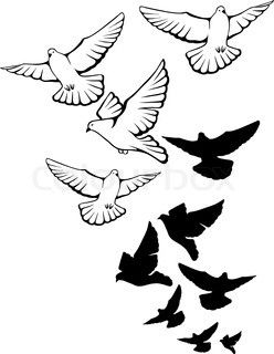 flying dove tattoo inspiration Pigeon Tattoo, Bird Line Drawing, Dove Drawing, Dove Tattoo Design, Tattoo Painting, Fly Drawing, Dove Tattoos, Flying Tattoo, Dove Tattoo