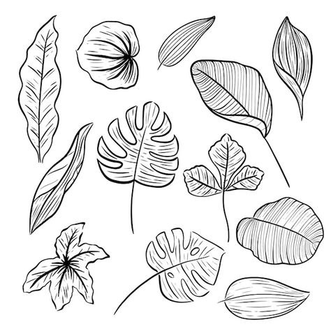 Vector set of leaf hand drawn line doodl... | Premium Vector #Freepik #vector #leaf-doodle #nature-doodle #plant-line #nature-elements Natural Elements Drawing, Leaf Aesthetic Drawing, Nature Elements Drawing, Nature Doodles Aesthetic, Leaf Drawing Aesthetic, Plant Sketches Doodles, Aesthetic Leaves Drawing, Aesthetic Leaf Drawing, Nature Doodle Art