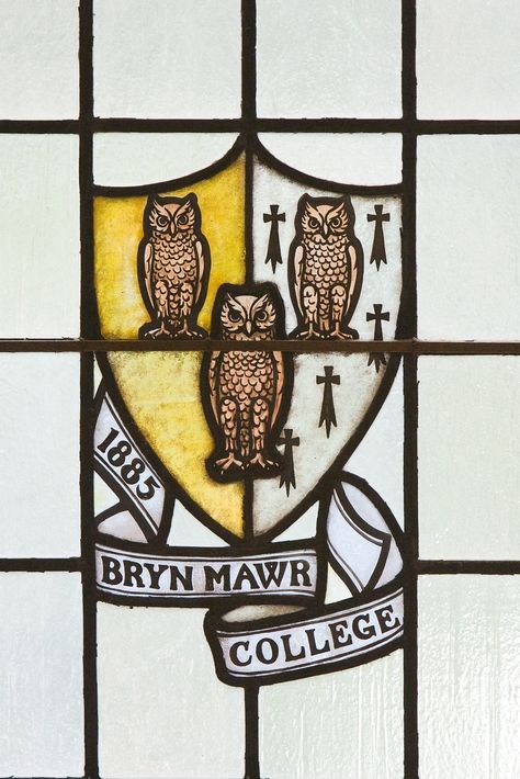 Stained glass from the reading room at Bryn Mawr Bryn Mawr College Dorms, Bryn Mawr College Aesthetic, Ivy College, Bryn Mawr College, College Vibes, College Vision Board, Owl Mask, Bryn Mawr, College Decor