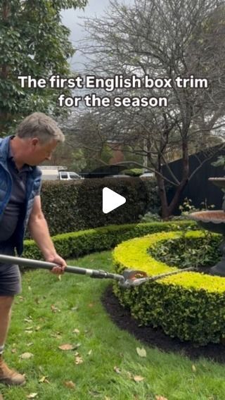 ANDREW STARK on Instagram: "#andrewstark #andrewstarkgardens #andrewstarkgardendesign #gardendesign #gardendesignmelbourne #hedges #topiary #pruning #gardenreno #gardenrenovation #gardenlovers @husqvarnaaustralia" Iceberg Roses, Rose Hedge, Standard Roses, Boxwood Hedge, Background Noise, Garden Lovers, Old Wood, The Plant, Hedges