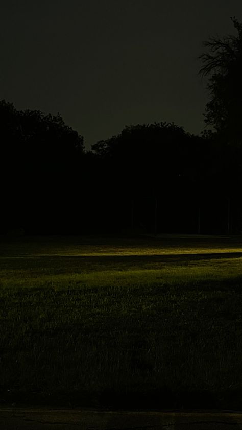 Grass Liminal Space, Horror Forest Background, Dark Liminal Space Aesthetic, Outdoor Liminal Space, Liminal Space Forest, Liminal Space Horror, Liminal Outdoors, Running In The Forest Aesthetic, Dark Liminal Spaces