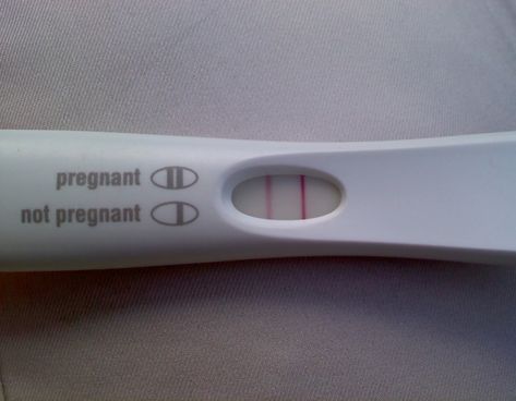 this test is a single wrapped stick that is NOT ALREADY POSITIVE, but will turn positive when lightly pee'd on or dipped in water/urine. THESE ARE R Fake Pregnancy, 3d Ultrasound, Wrapped Sticks, Home Pregnancy Test, Positive Pregnancy Test, Good Pranks, Harsh Words, Anime Quotes Inspirational, Future Mom