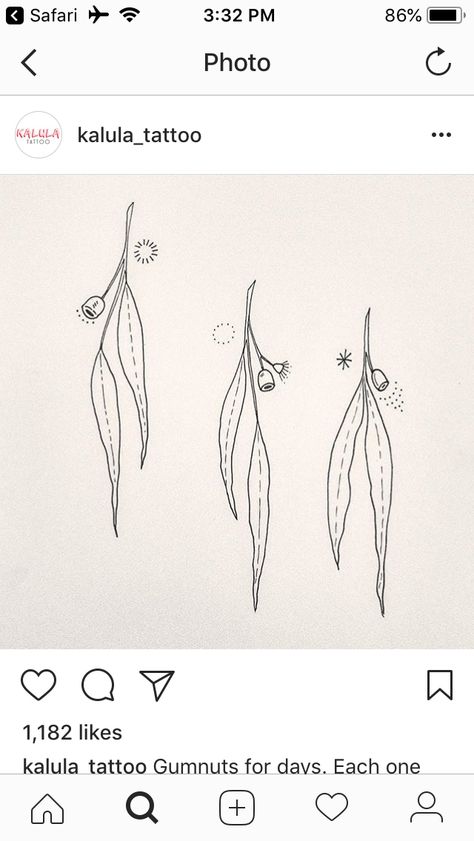 Tiny Eucalyptus Tattoo, Australian Stars Tattoo, Simple Australian Tattoo, Small Eucalyptus Tattoo, Gumleaf Tattoo, Fine Line Gum Leaf Tattoo, Gumtree Tattoos, Eucalyptus Flower Tattoo, Eucalyptus Leaf Tattoo