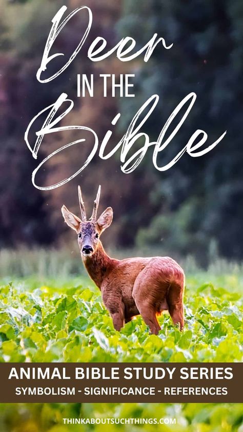 deer in the bible Animals In The Bible, Bible Meaning, Streams In The Desert, New Testament Books, Psalm 42, Animal Symbolism, Object Lessons, Game Nights, Song Of Solomon