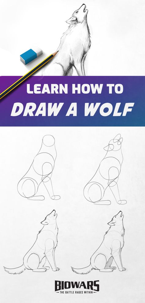 A collage of images depicting the process of wolf drawing. Wolf Sketch Easy Step By Step, Wolf Sketch Tutorial, Wolf Drawing Easy Step By Step, How To Draw A Werewolf, Step By Step Wolf Drawing, How To Draw A Wolf Step By Step, Wolf Cute Drawing, How To Draw Dogs Step By Step, Wolve Drawings