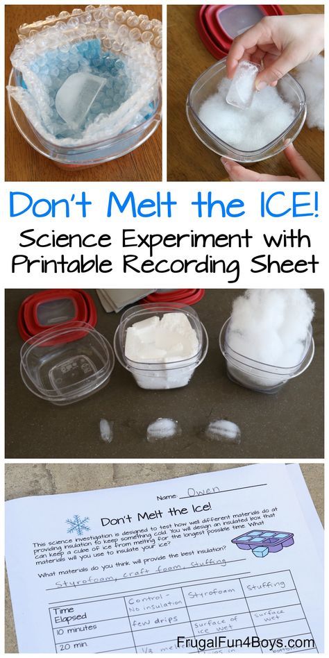 Science Experiments Kids Elementary, Winter Science, Science Experiment For Kids, Experiment For Kids, Science Club, 6th Grade Science, Kid Experiments, Science Activities For Kids, Kindergarten Science