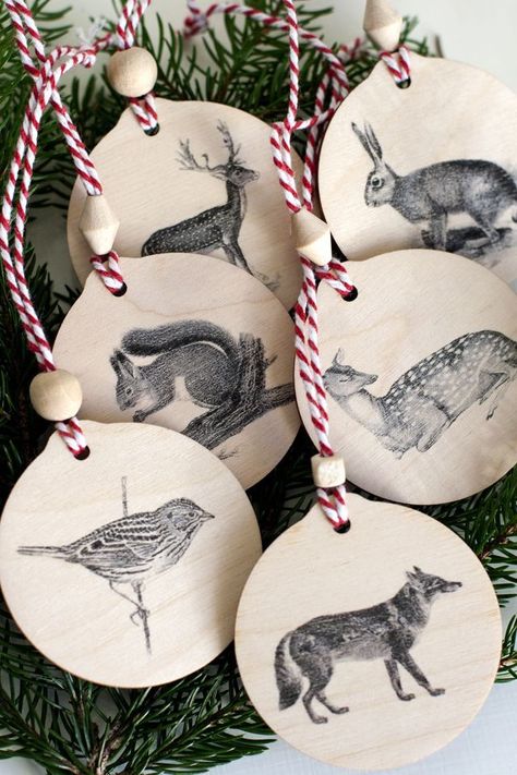 Ornaments Diy Christmas, Diy Woodland, Clay Christmas Decorations, Ornaments To Make, Ultimate Christmas, Navidad Diy, Woodland Christmas, Christmas Ornaments Homemade, Christmas Ornaments To Make