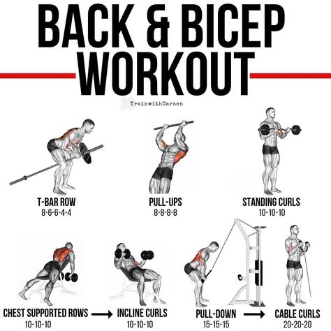 Incline Bicep Curls, Barbell Bicep Curl, Bicep Strength Workout, Bicep Curls Workout, Cable Biceps Workout, Bicep Cable Workout, Back And Bicep Workout Gym, Cable Bicep Curl, Back And Biceps Workout