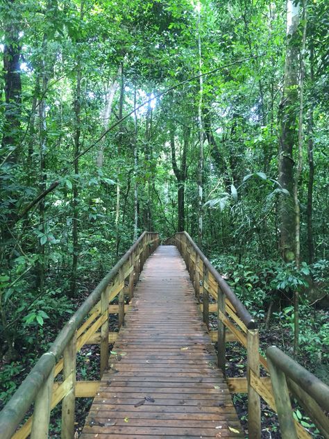 Parque Nacional Manuel Antonio, Costa Rica. Manuel Antonio Costa Rica, Costa Rica Vacation, Travel Board, Favorite Hobby, Draco Malfoy, Garden Bridge, Railroad Tracks, Costa Rica, Outdoor Structures